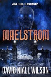 Maelstrom - David Niall Wilson