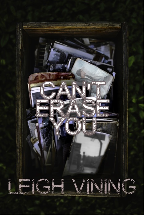 Can't Erase You