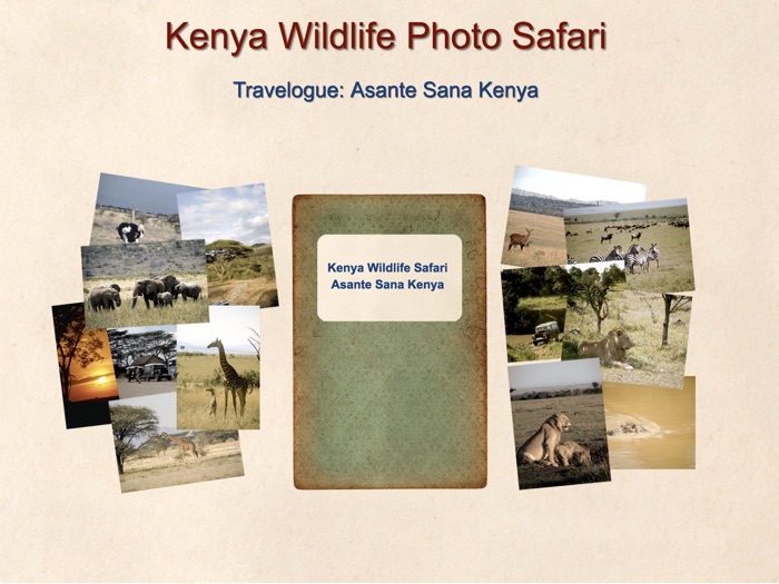 Kenya Wildlife Photo Safari