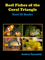 Reef Fishes of the Coral Triangle