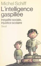 L'intelligence gaspillée - Michel Schiff