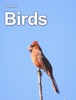Book Birds