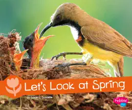 Let's Look at Spring