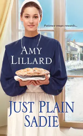 Read: Just Plain Sadie Book