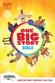 KJV One Big Story Bible - Holman Bible Publishers