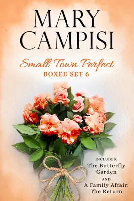 Small Town Perfect Boxed Set 6