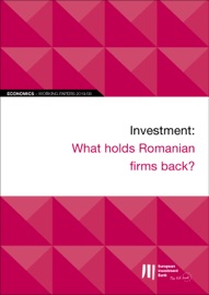 EIB Working Papers 2019/08 - Investment: What holds Romanian firms back?