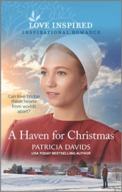 A Haven for Christmas - Patricia Davids