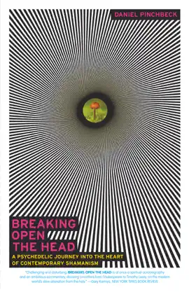 Breaking Open the Head