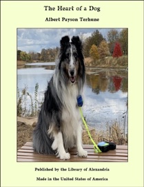 The Heart of a Dog