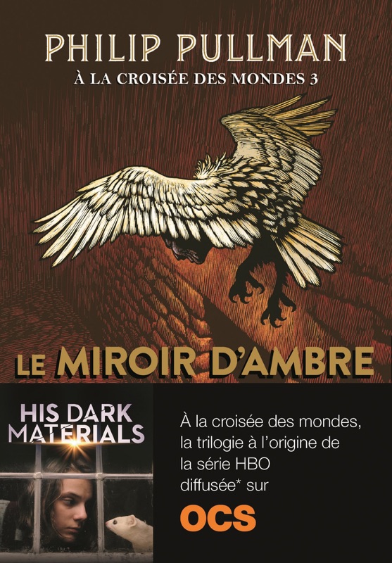 Le miroir d'ambre