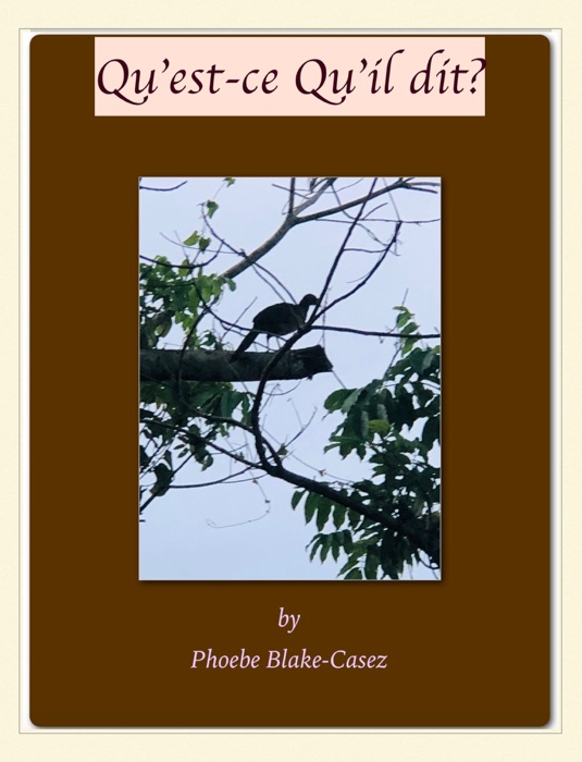 Qu’est-ce Qu’il dit?