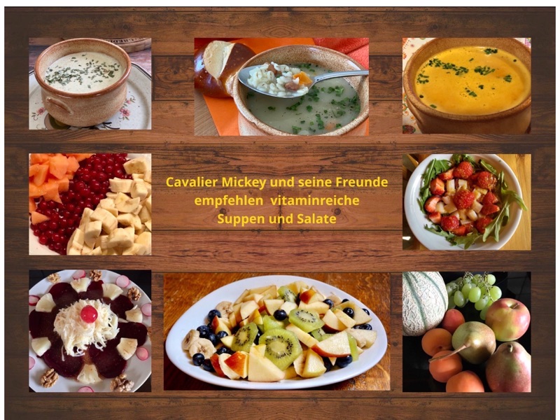 Suppen und Salate