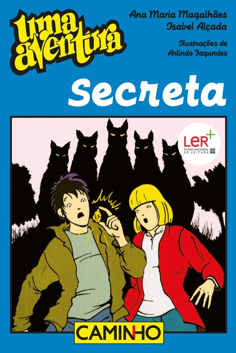 Uma aventura secreta  nº44