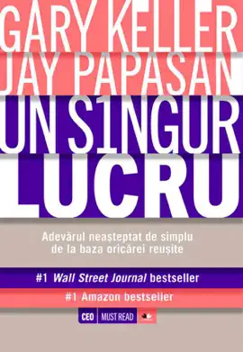 Un singur lucru