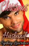 Christmas Husband by Sydney Lawrence Book Summary, Reviews and Downlod