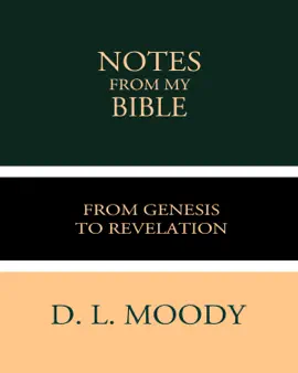 Read: Notes from My Bible Book