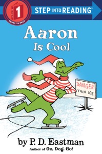 Aaron is Cool