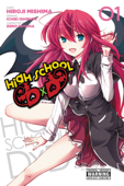 High School DxD, Vol. 1 - Hiroji Mishima, Ichiei Ishibumi & Miyama-Zero