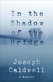 Book In the Shadow of the Bridge - Joseph Caldwell