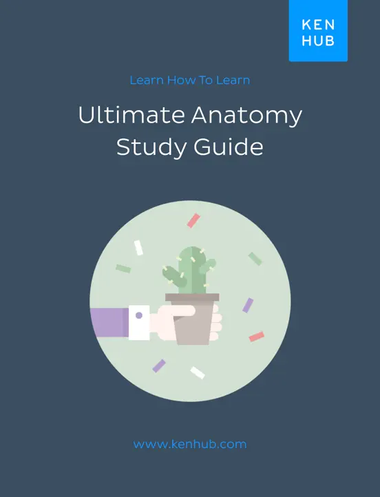 Ultimate Anatomy Study Guide