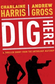 Dig Here - Charlaine Harris & Andrew Gross