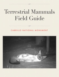 Terrestrial Mammals Field Guide - Cabrillo National Monument