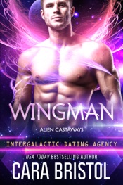 Download Wingman: Alien Castaways 2 (Intergalactic Dating Agency)