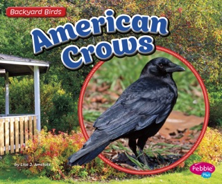American Crows by Lisa J. Amstutz