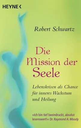 Read: Book Die Mission der Seele