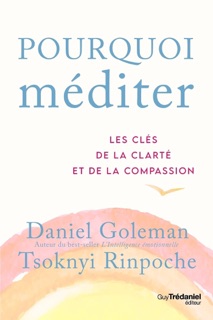 Pourquoi méditer by Daniel Goleman & Tsoknyi Rinpoche