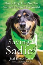 Saving Sadie - Joal Derse Dauer &amp; Elizabeth Ridley Cover Art