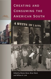 Creating and Consuming the American South - Martyn Bone, Brian Ward & William A. Link