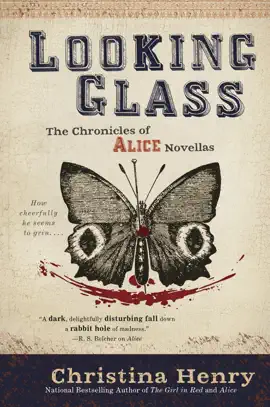 Read: Looking Glass Book