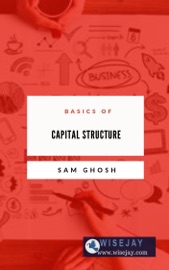 Basics of Capital Structure - Sam Ghosh