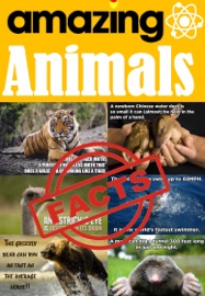 Amazing animal facts