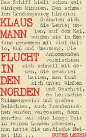 Flucht in den Norden - Roman einer Liebe - Klaus Mann