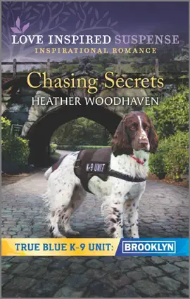 Read: Chasing Book Secrets