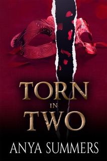 Torn In Two by Anya Summers