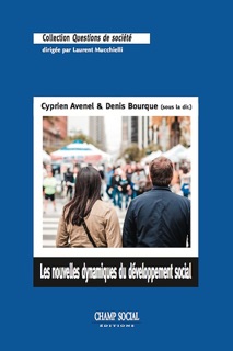 Les nouvelles dynamiques du développement social. Intervention collective et territoires by Denis Bourque & Cyprien Avenel