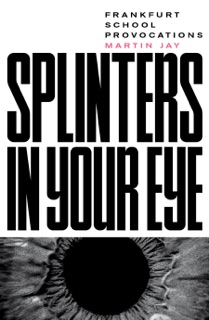 Splinters in Your Eye by Martin Jay