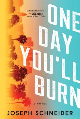 One Day You'll Burn by Joseph Schneider book