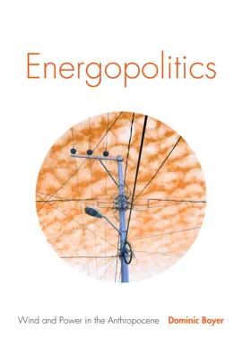 Read: Energopolitics