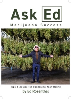 Ask Ed: Marijuana Success by Ed Rosenthal