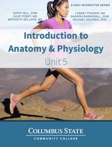 Introduction to Anatomy & Physiology - Unit 5