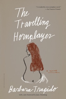 The Travelling Hornplayer by Barbara Trapido