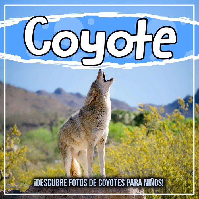 Coyote: ¡Descubre fotos de coyotes para niños!