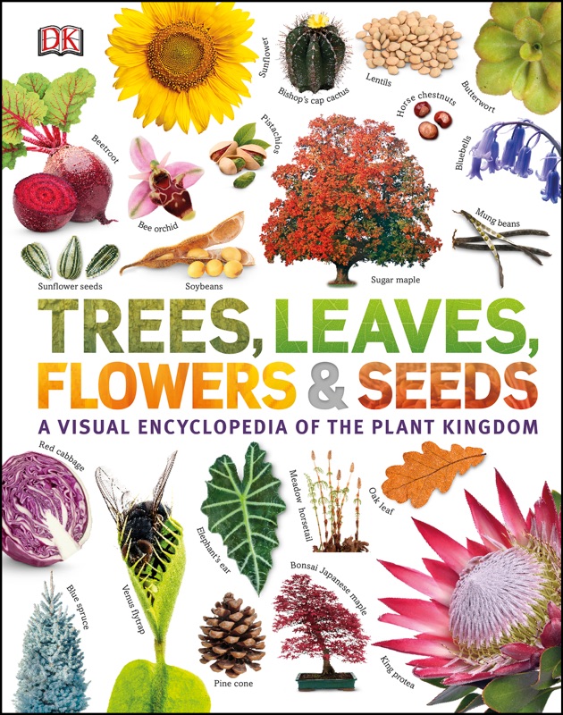Trees, Leaves, Flowers & Seeds