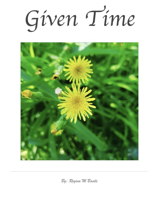 Given Time