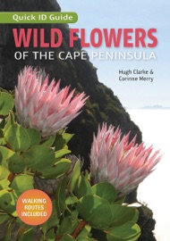 Wild Flowers of the Cape Peninsula – Quick ID Guide - Hugh Clarke & Corinne Merry